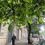 Suites In Rome