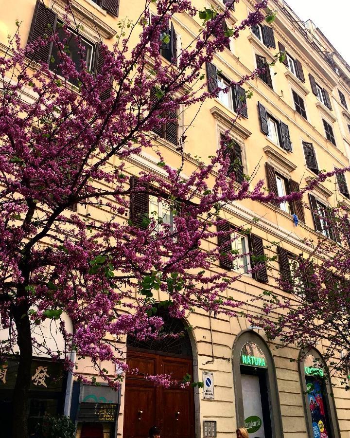 Appartamento In Roma